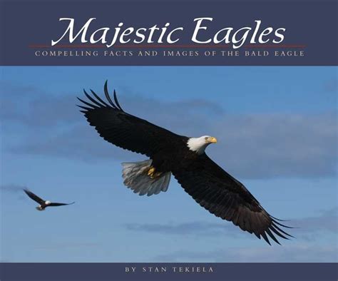 majestic eagles compelling facts and images of the bald eagle PDF